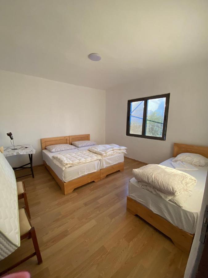 Rupa Guest House Camping Shkodër エクステリア 写真