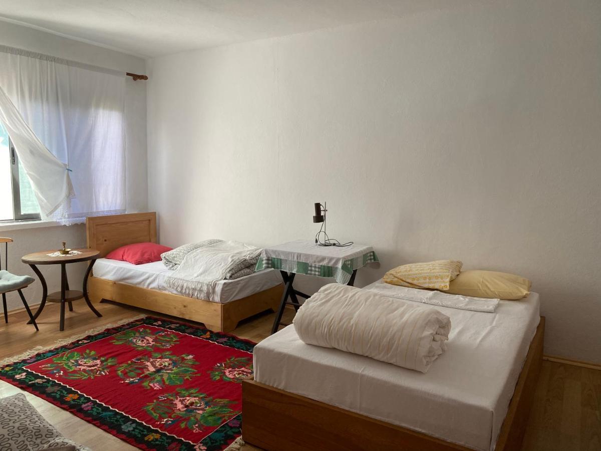 Rupa Guest House Camping Shkodër エクステリア 写真
