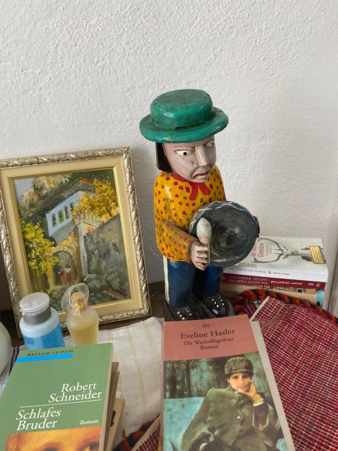 Rupa Guest House Camping Shkodër エクステリア 写真