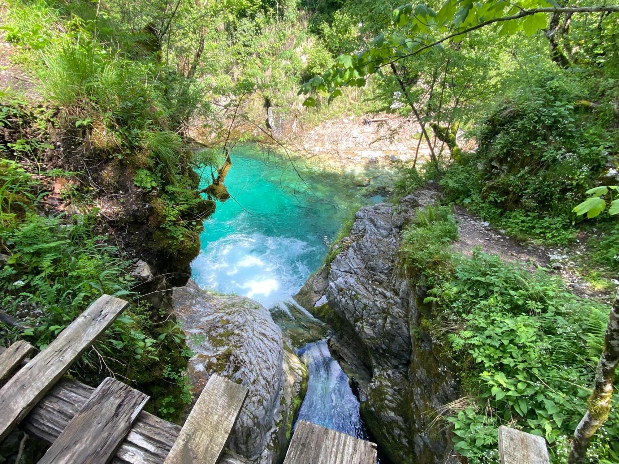 Rupa Guest House Camping Shkodër エクステリア 写真